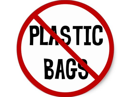 Ban On Plastic Bags Todays Point Online 0707