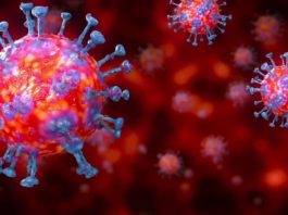 Two New Potential Symptoms of the New Corona Virus Revealed